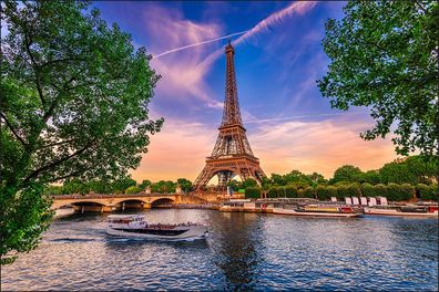 Muralo VLIES Fototapeten Tapeten XXL Paris Eiffelturm 458