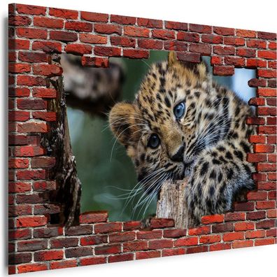 Bilder Mauerloch Tiere Leopard 3D illusion Wandbilder Leinwand XXL