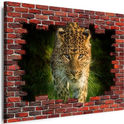 Bilder Mauerloch Tiere Leopard 3D illusion Wandbilder Leinwand XL