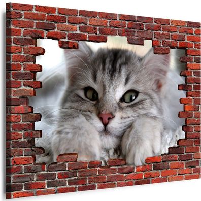 Bilder Mauerloch Tiere Katze 3D illusion Wandbilder Leinwand XL