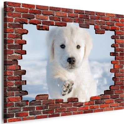 Bilder Mauerloch Tiere Hund 3D illusion Wandbilder Leinwand XXL