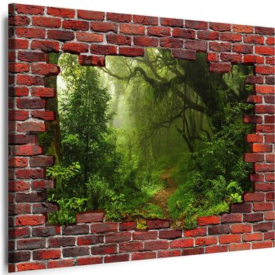 Bilder Mauerloch Natur Wald 3D illusion Wandbilder Leinwand XL