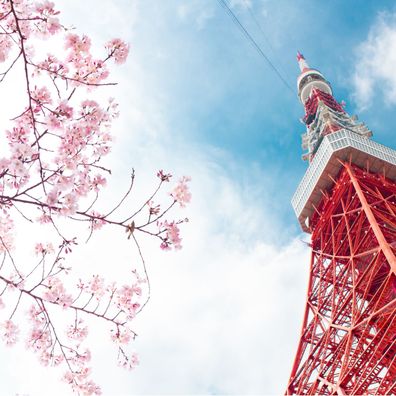 Muralo VLIES Fototapeten Tapeten XXL Tokio Tower Himmel 3D 2751