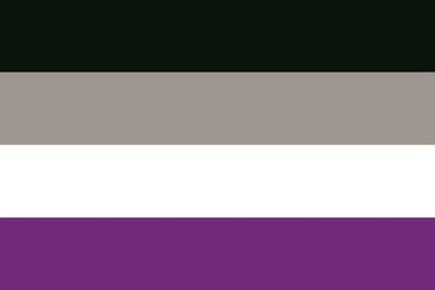 Fahne Flagge Asexual Pride Premiumqualität