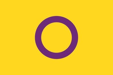 Fahne Flagge Intersex Pride Premiumqualität