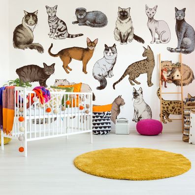 Muralo Selbstklebende Fototapeten XXL Kinder Reizvolle Bunte Katzen 3407