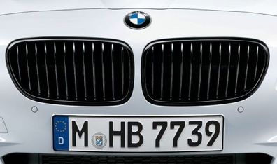 BMW M Performance Frontziergitter - 5er-Reihe F10 F11 F18