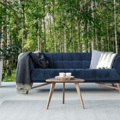 Muralo Selbstklebende Fototapeten XXL Wald Birken Stämme Gras 1309