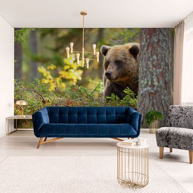 Muralo Selbstklebende Fototapeten XXL Büro Grizzlybär Wald Natur 3D 4308