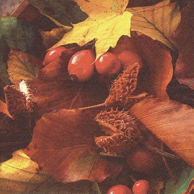 20 Servietten, Herbstlaub mit Hagebutten, farbige Herbstszene 33x33 cm