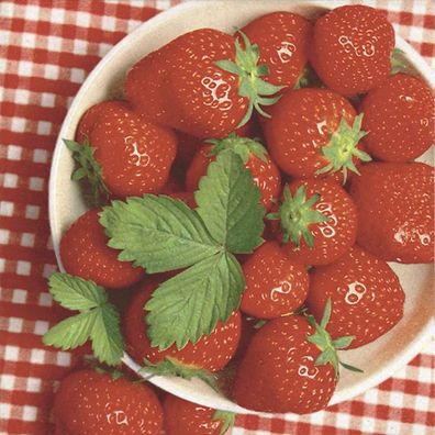 20 Servietten, Erdbeeren, frisch servierte sonnengereifte Früchte 33x33 cm