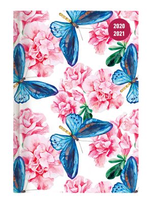 Collegetimer Butterfly 2020/2021 - Sch?ler-Kalender A6 (10x15 cm) - Schmett ...