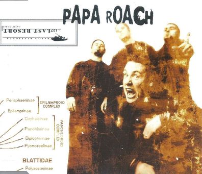 CD-Maxi: Papa Roach: Last Resort (2000) DreamWorks Records 450 931-2