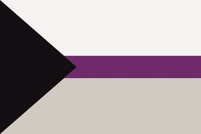 Fahne Flagge Demisexual Pride Premiumqualität