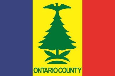 Fahne Flagge Ontario County (New York) Premiumqualität
