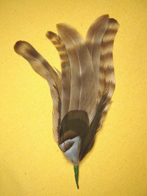 Damenhutfeder Hahnenfedern braun mit grün Hutschmuck 14 cm Art5511