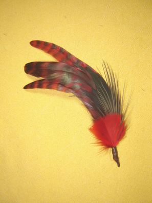 Damenhutfeder Hahnenfedern grün rot Hutschmuck 18 cm Art26-61