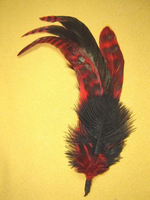 Damenhutfeder schwarz rot 24 cm modische Hutfeder Art13409 Pillbox