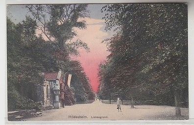 66596 Ak Hildesheim Liebesgrund 1913