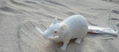 weiße Maus / Ratte ca. 20cm Gummifigur Scherzfigur Katzenspielzeug
