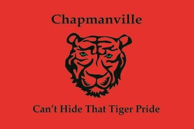 Fahne Flagge Chapmanville Town (West Virginia) Premiumqualität
