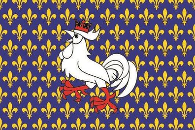 Fahne Flagge Dormans (Frankreich) Premiumqualität