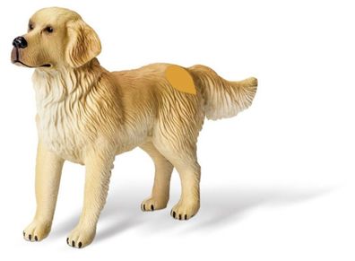 tiptoi? Golden-Retriever-R?de,