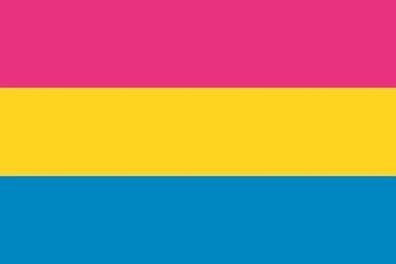 Fahne Flagge Pansexuelity-Pride Premiumqualität