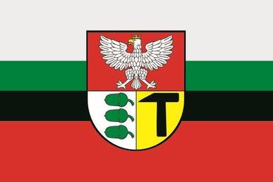 Fahne Flagge Dabrowa Górnicza Dombrowa (Polen) Premiumqualität