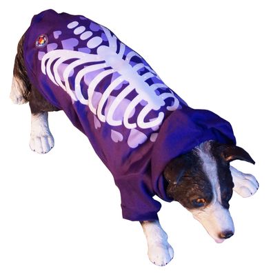 LED Hunde-Pullover Pulli Hoodie Lila als Bekleidung für kleine und große Hunde mit le