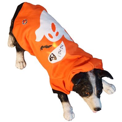 LED Hundebekleidung Hundepullover Orange für große und kleine Hunde mit Leucht-Motiv