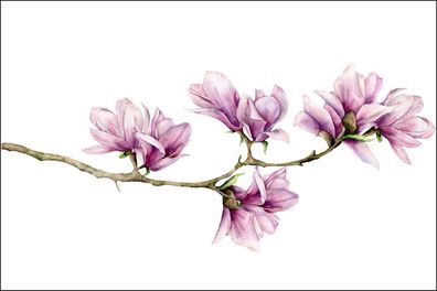 Muralo VLIES Fototapete Tapeten XXL Magnolie wie gemalt 1020