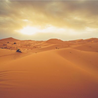Muralo Selbstklebende Fototapeten XXL Büro Sahara Wüste Landschaft 3674