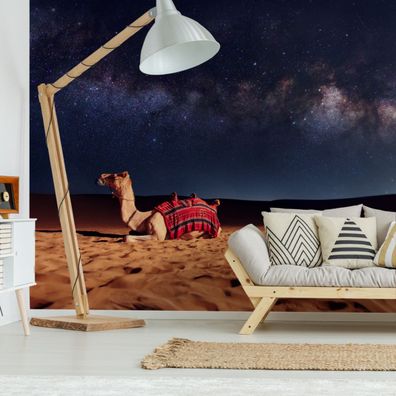 Muralo Selbstklebende Fototapeten XXL Wohnzimmer Wüste Kamel 3D 3680