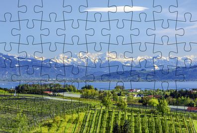 Puzzlepostkarte Bodensee 3: Motiv See und Alpen (Kultur erleben im Gmeiner- ...
