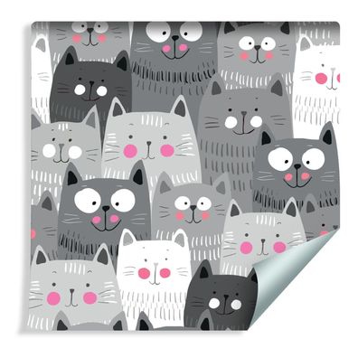 10m VLIES TAPETE Rolle Kinderzimmer Haustiere Katzen Natur Kugeln XXL 1142