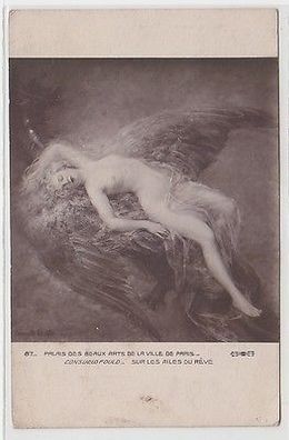 65148 Erotik Ak "Nackte Dame auf Vogelschwingen" Frauenakt um 1910