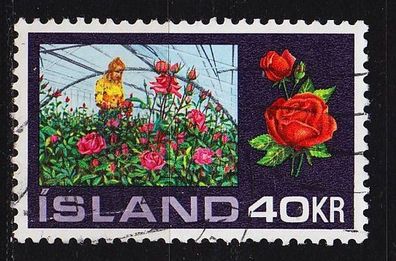 ISLAND Iceland [1972] MiNr 0467 ( O/ used ) Pflanzen