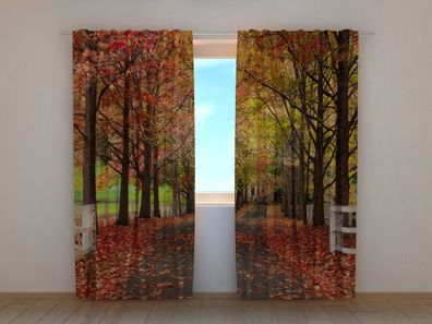 Fotogardine Bäume im Herbst, Fotovorhang mit Motiv, Digitaldruck, Gardine auf Maß