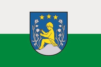 Fahne Flagge Kindberg (Steiermark) Premiumqualität