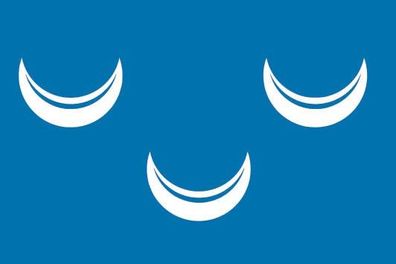 Fahne Flagge Wassenaar (Niederlande) Premiumqualität
