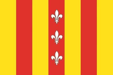 Fahne Flagge Duffel (Belgien) Premiumqualität
