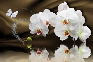 Muralo Selbstklebende Fototapeten XXL Flur Orchidee Schmetterling Wasser 2505