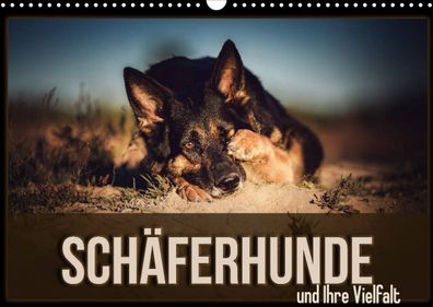 Schäferhunde und Ihre Vielfalt 2022 Wandkalender