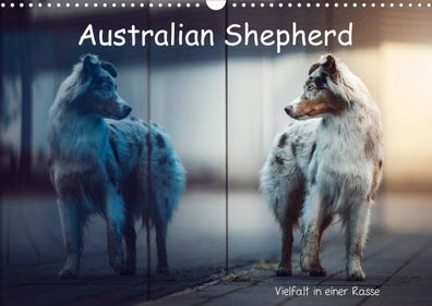 Australian Shepherd - Vielfalt in einer Rasse 2022 Wandkalender