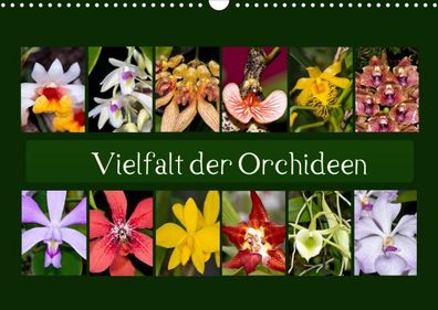 Vielfalt der Orchideen 2022 Wandkalender