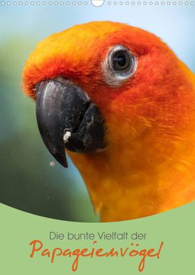 Die bunte Vielfalt der Papageienvögel 2022 Wandkalender