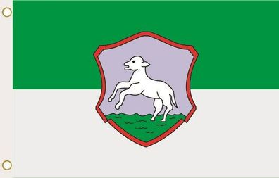 Fahne Flagge Rathen Hissflagge 90 x 150 cm