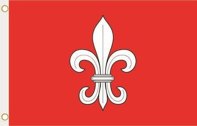 Fahne Flagge Lille (Frankreich) Hissflagge 90 x 150 cm