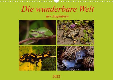 Die wunderbare Welt der Amphibien 2022 Wandkalender
